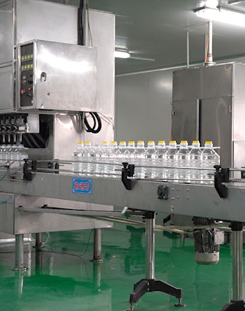 línea de producción de trigo y soja