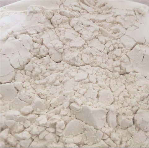 Soy Protein Isolate2.png