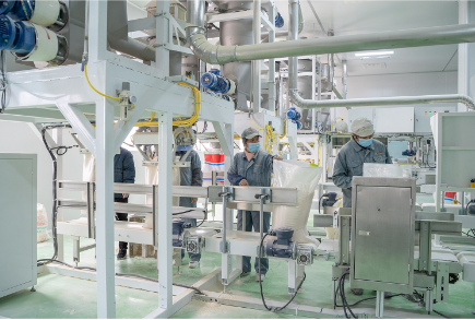 Polvo de gluten de trigo vital