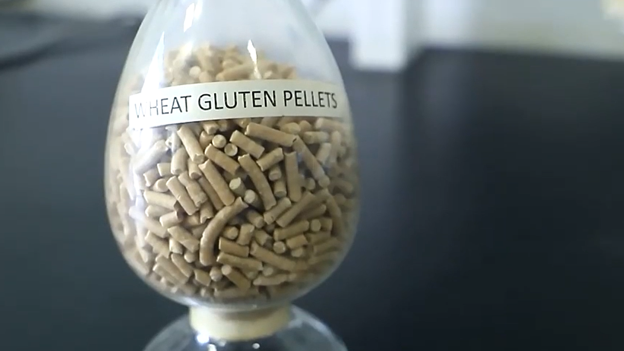 Guía de dosificación de gluten de trigo vital para pan, fideos y alternativas a la carne